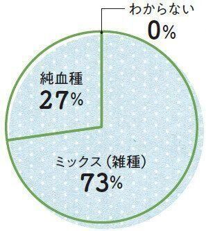 ねこのきもち2021年８月号「想像以上に身近な病気　寄生虫症の実態」