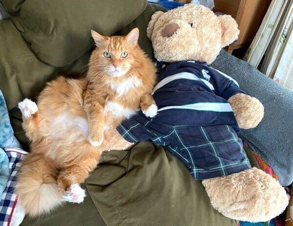 おなかを出してくつろぐピョンタくん