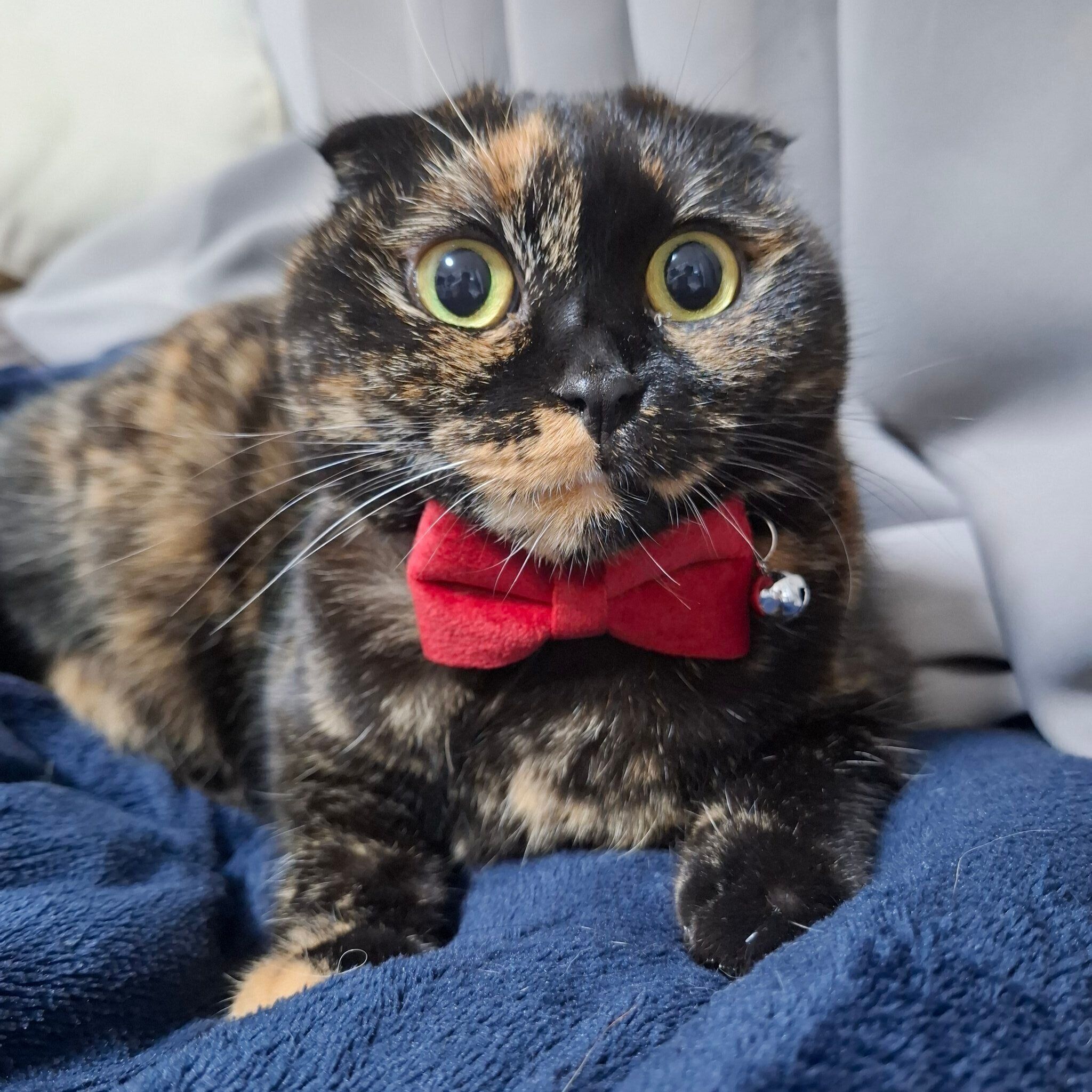 おとなになったうなぎちゃん