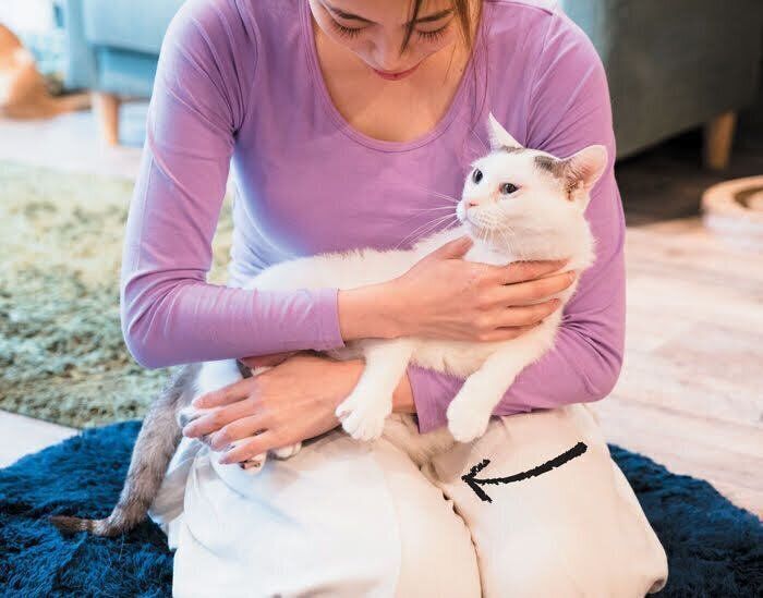 猫をひざにのせる