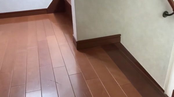 名前を呼ばれると必ずやってくる猫