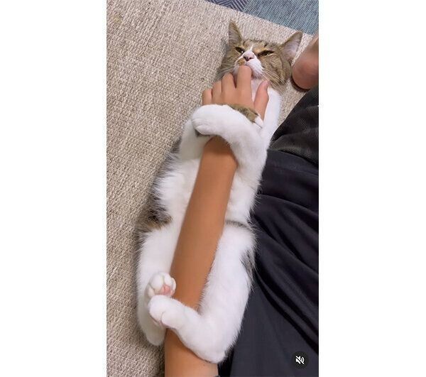 飼い主さんの指をしゃぶるみいちゃん