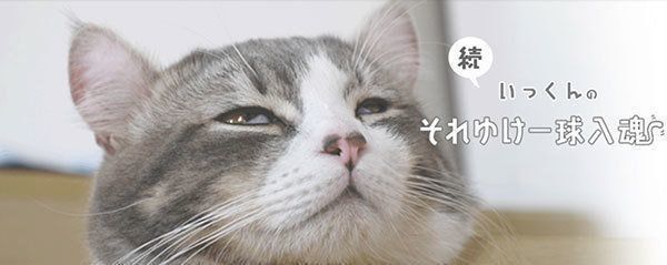 ブログ『続・いっくんのそれゆけ一球入魂』のスクリーンショット