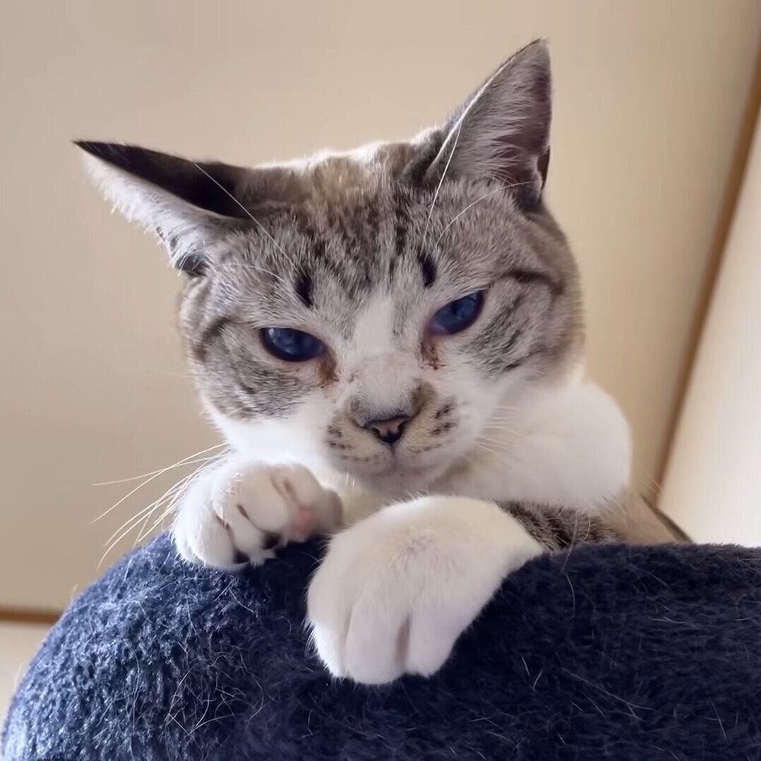 ちょっと退屈そうなリノちゃん