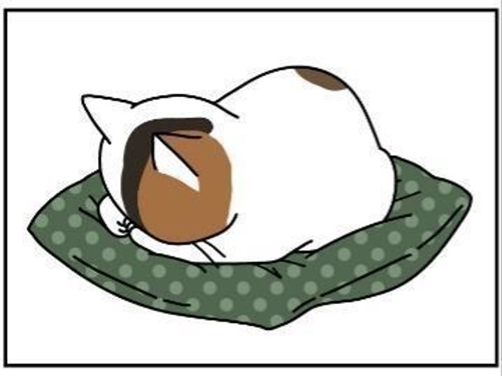 猫と同じポーズの人は悲喜こもごもである 男の猫道 Vol 8 ねこのきもちweb Magazine 猫と同じポーズの人は悲喜こもごもである 男の猫道 Vol 8 ねこのきもちweb Magazine