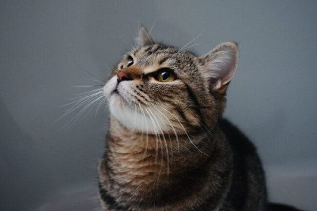 「見つめる先に」