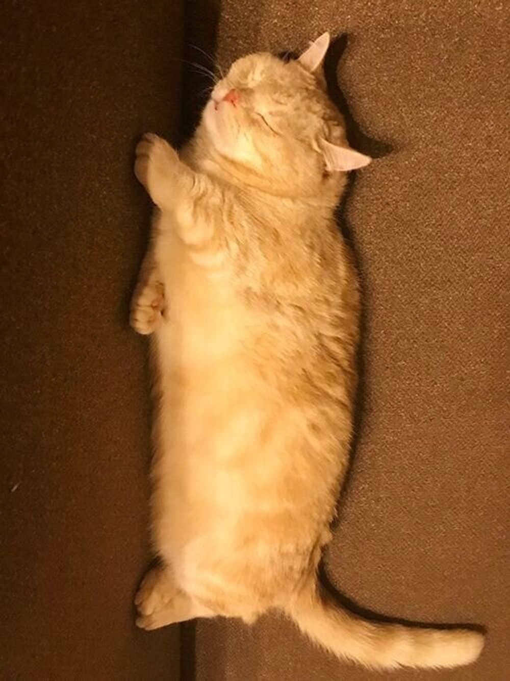 Ayaeo9gid1uiym Ayaeo9gid1uiym