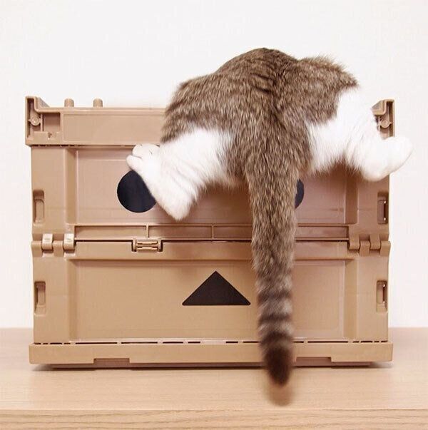 お転婆なほのちゃん