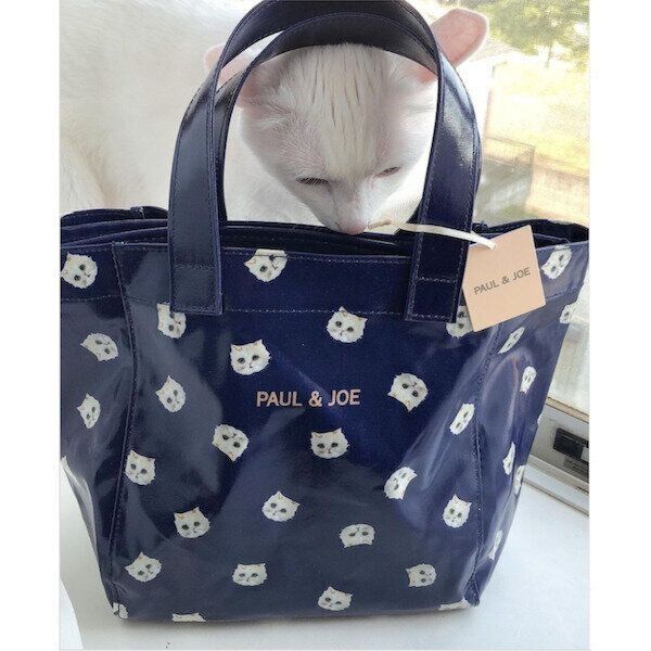 ポールアンドジョーのランチグッズ