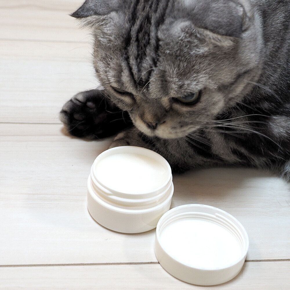 肉球クリームにはまる 人間用より高価なクリームはやはり効果があったお話 連載 渋ネコししまるさん 155 ねこのきもちweb Magazine