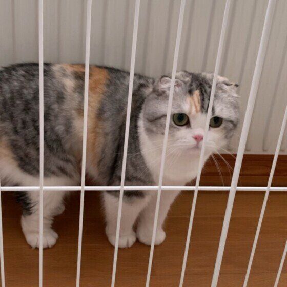 怖がりなCOCOちゃん