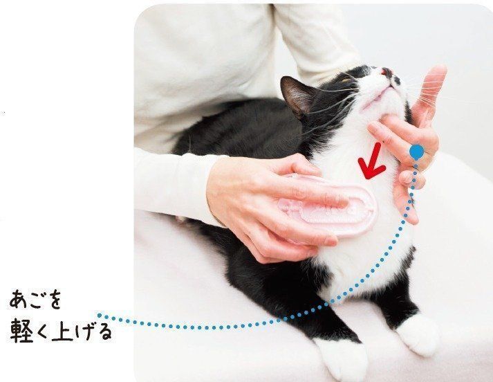 撮影／中川文作