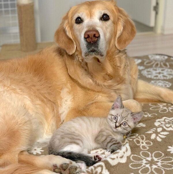 寄り添うネルちゃんとオペルちゃん