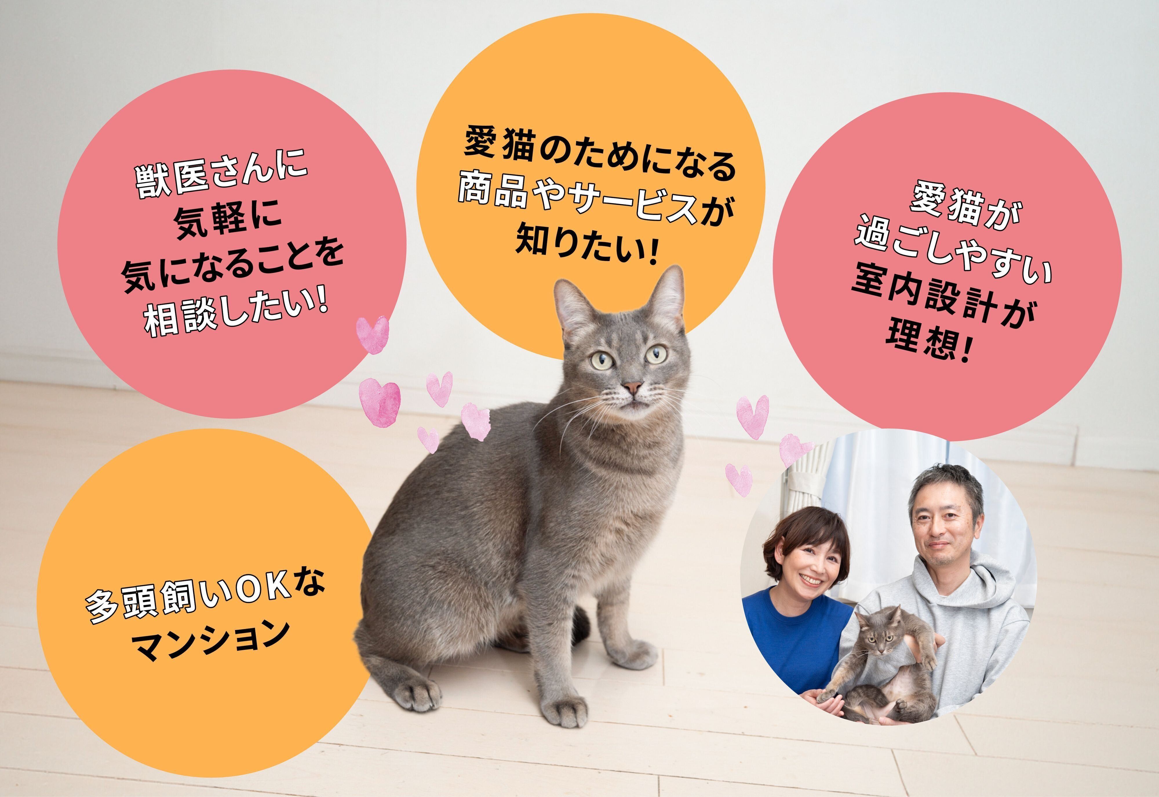 フジタ　大和リビング　リーラ横浜川和町　月次健診　犬猫合わせて4頭　マンション　賃貸マンション　ペット共生型マンション　ねこのきもち　ねこ　月次健診