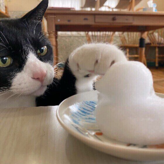 ちょいちょいをするぺぇ君