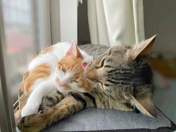 仲良しなうにくんともずくくん