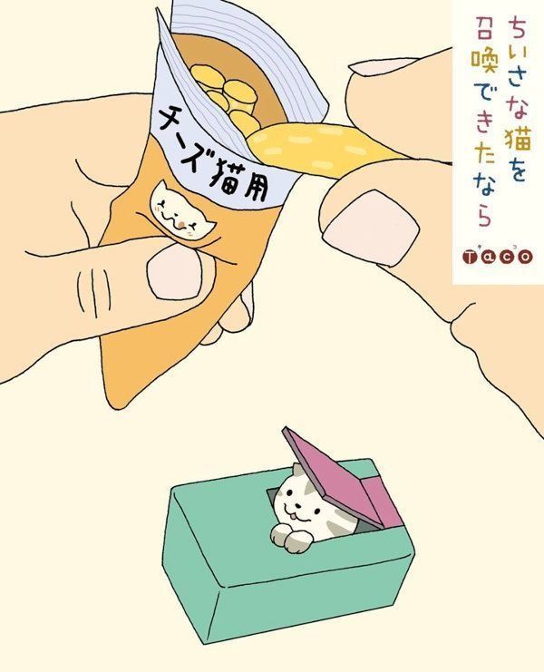 手乗りサイズの猫