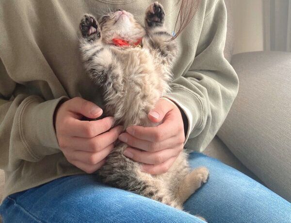 抱っこが大好きなまつたけちゃん