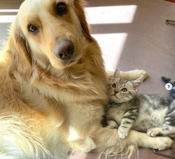 寄り添うあずきちゃんとベガちゃん