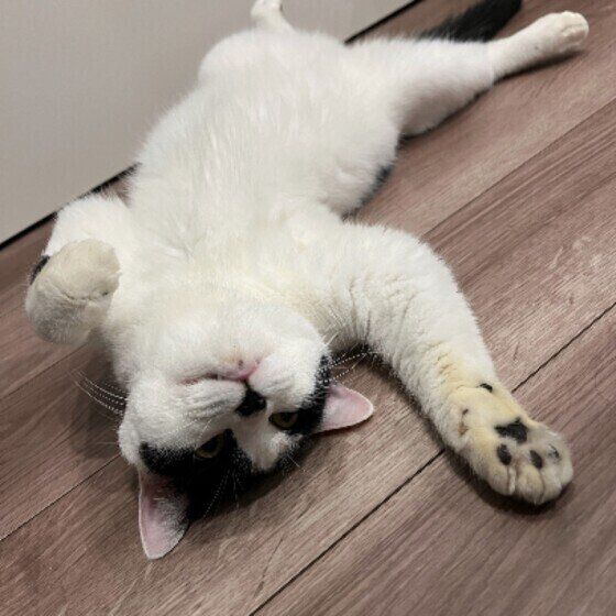 黒白の真希ちゃん