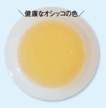 画像／2017年５月号「大切なことはオシッコが教えてくれる」