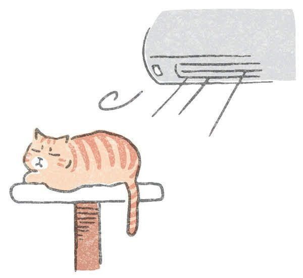 やりがちな「NG寒さ対策」とは