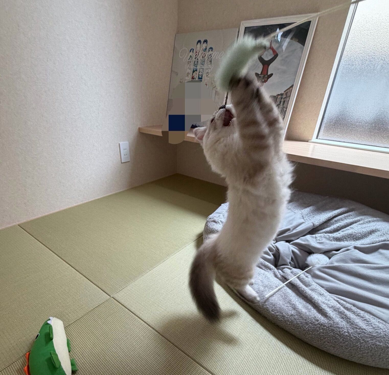 元気いっぱいに遊ぶかるびくん