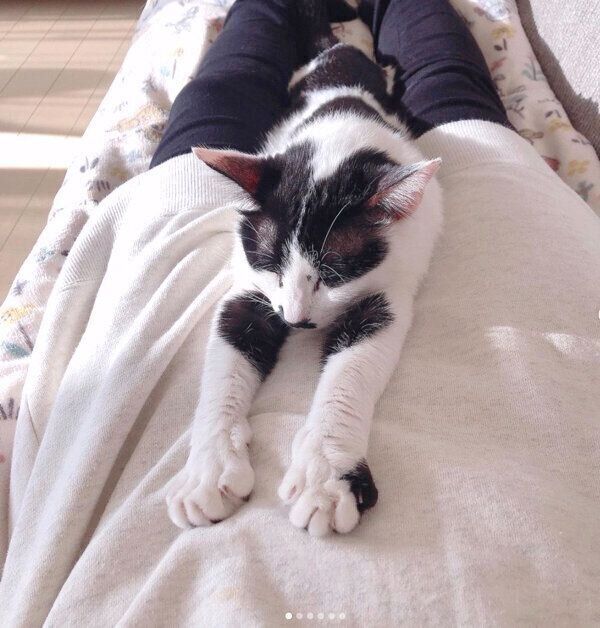 まったりするウッシーちゃん