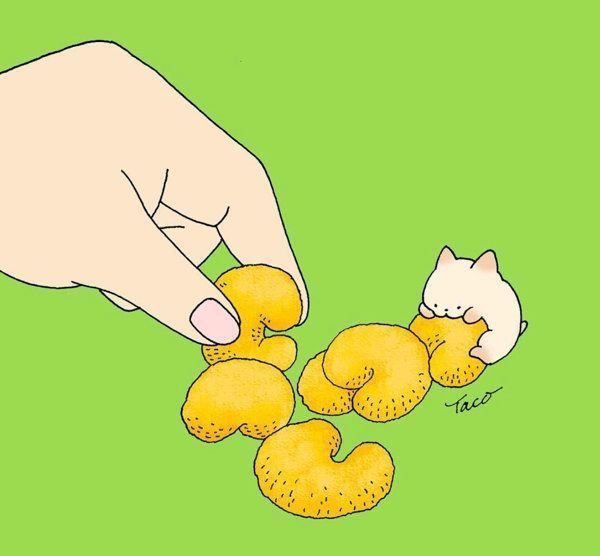 手乗りサイズの猫