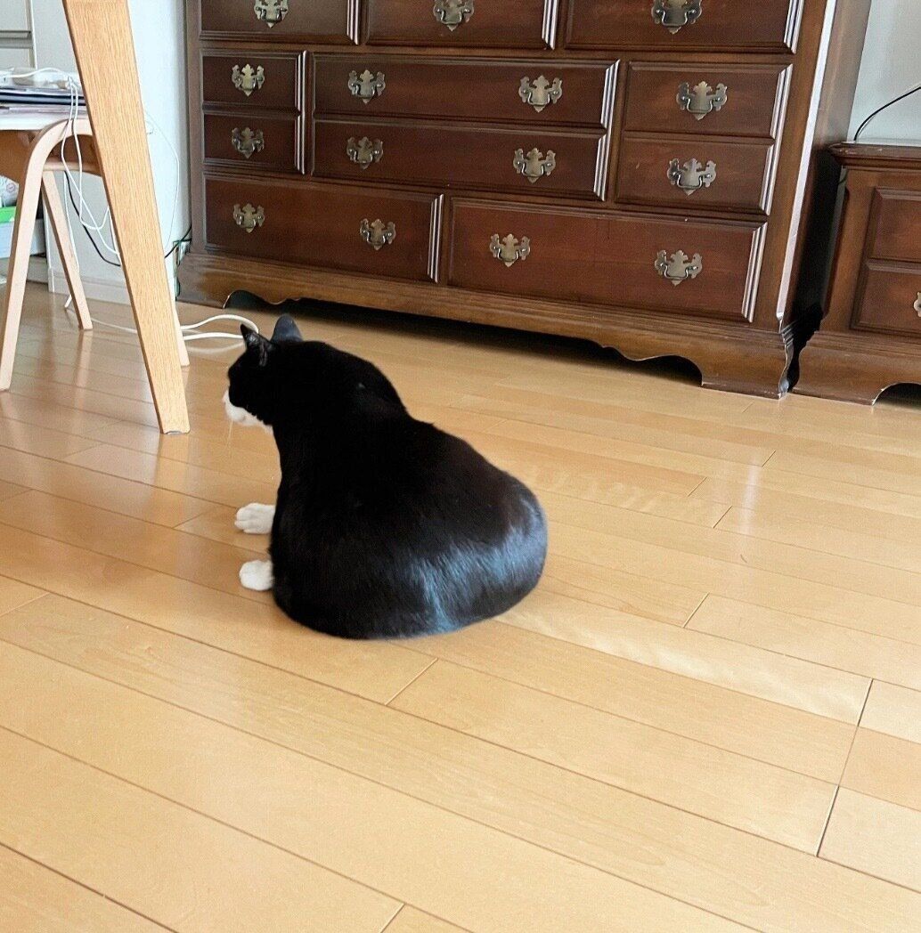 「不思議な形状」のキキ様