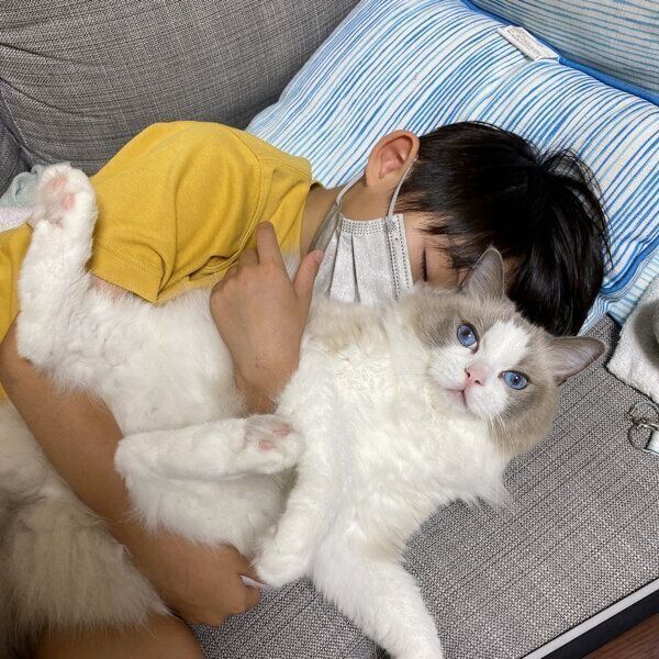 息子さんにくっつくルカくん