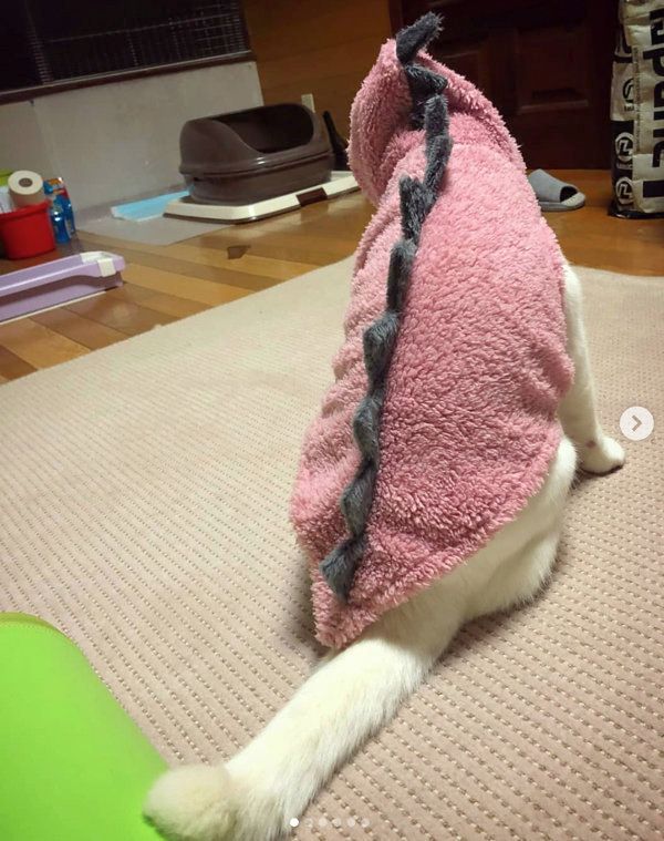 3COINSの「恐竜ペットパーカー」