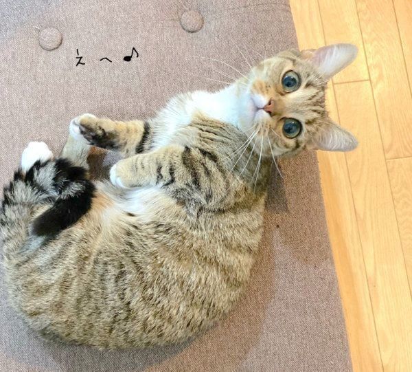 見つめるべにちゃん