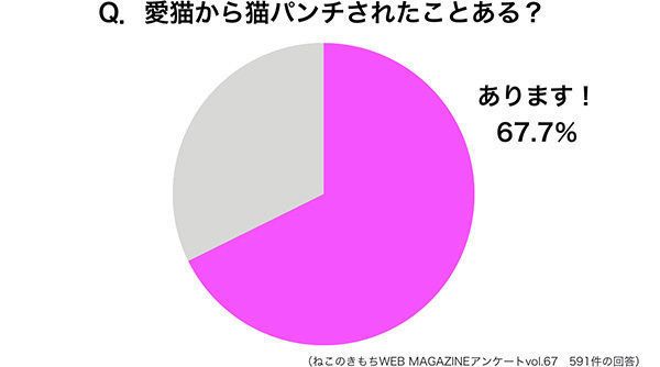 「猫パンチされたことある？」調査