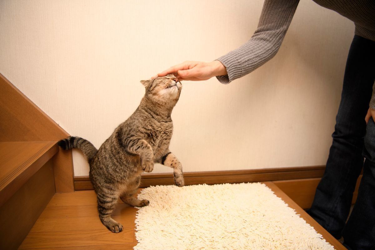 写真／Akimasa Harada