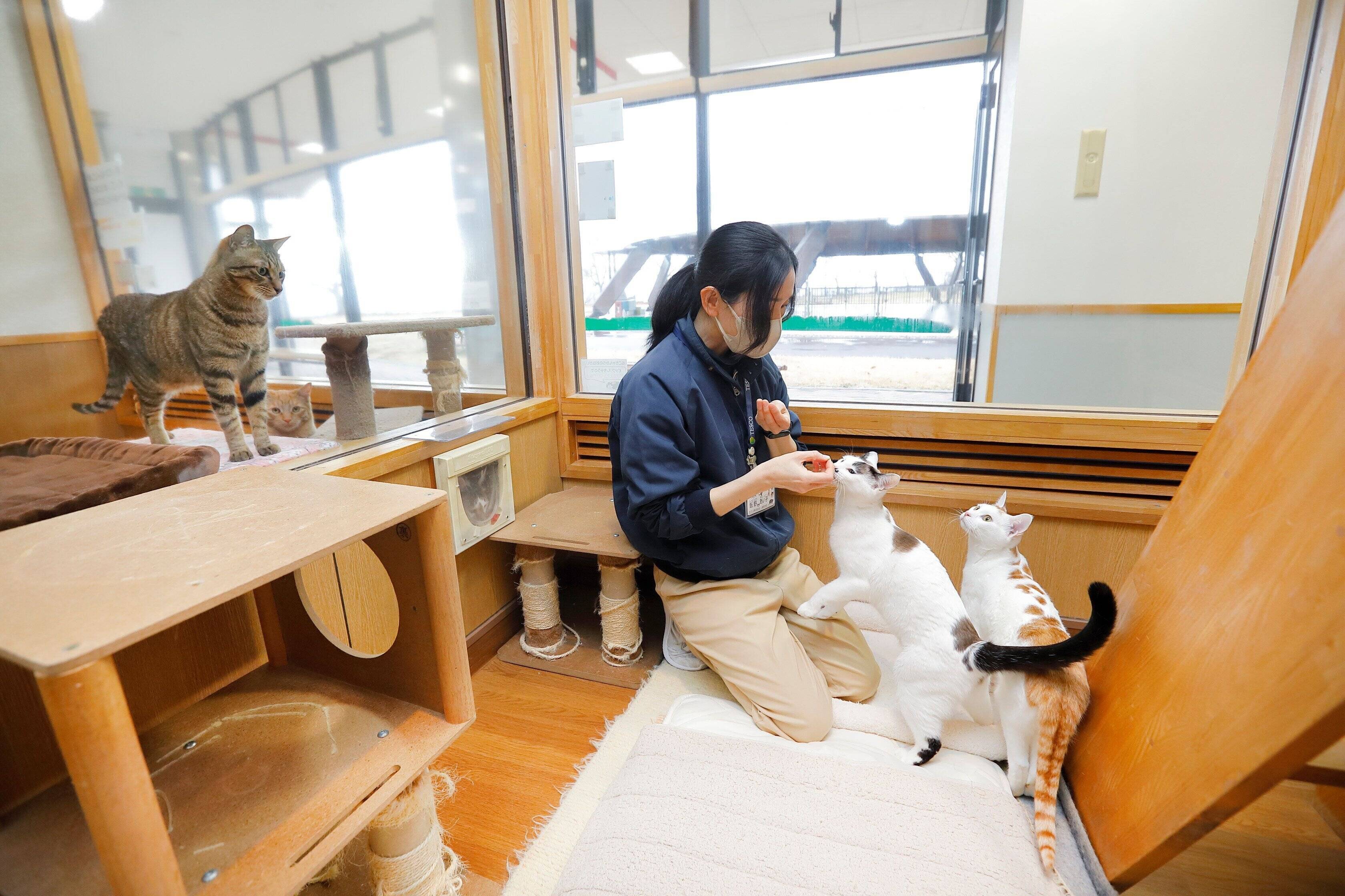 撮影／後藤さくら