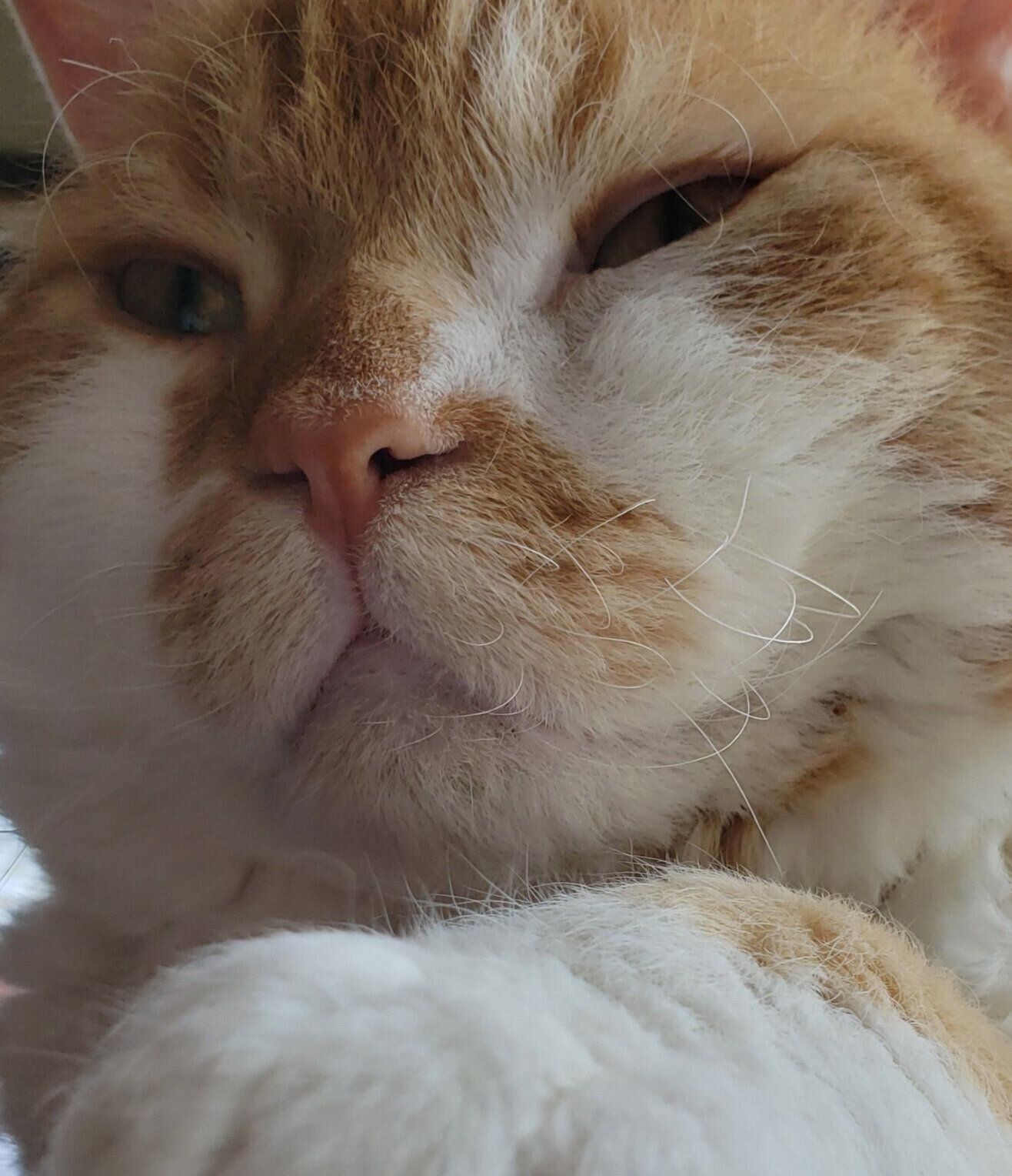 普段のもやしくん