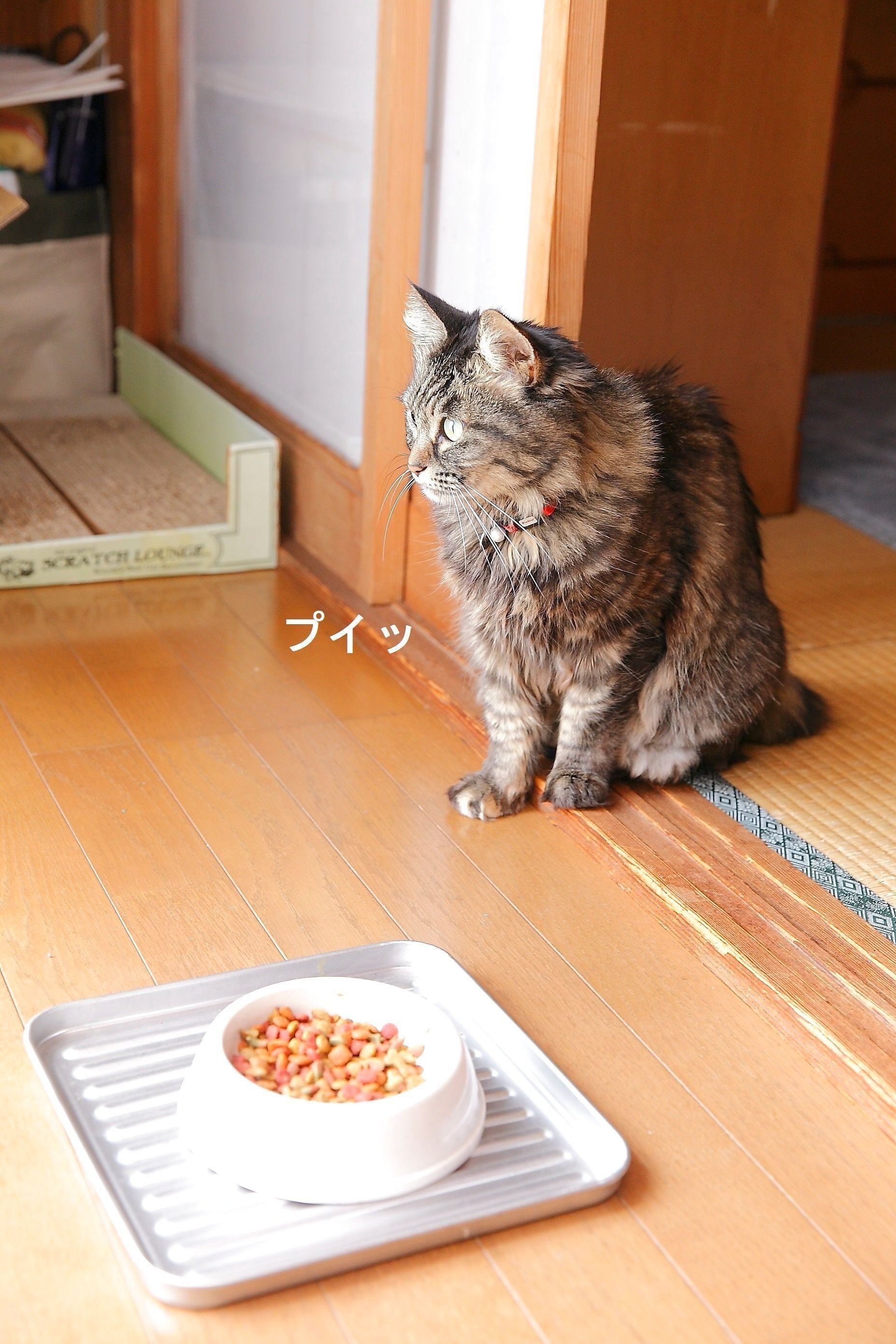 撮影／後藤さくら