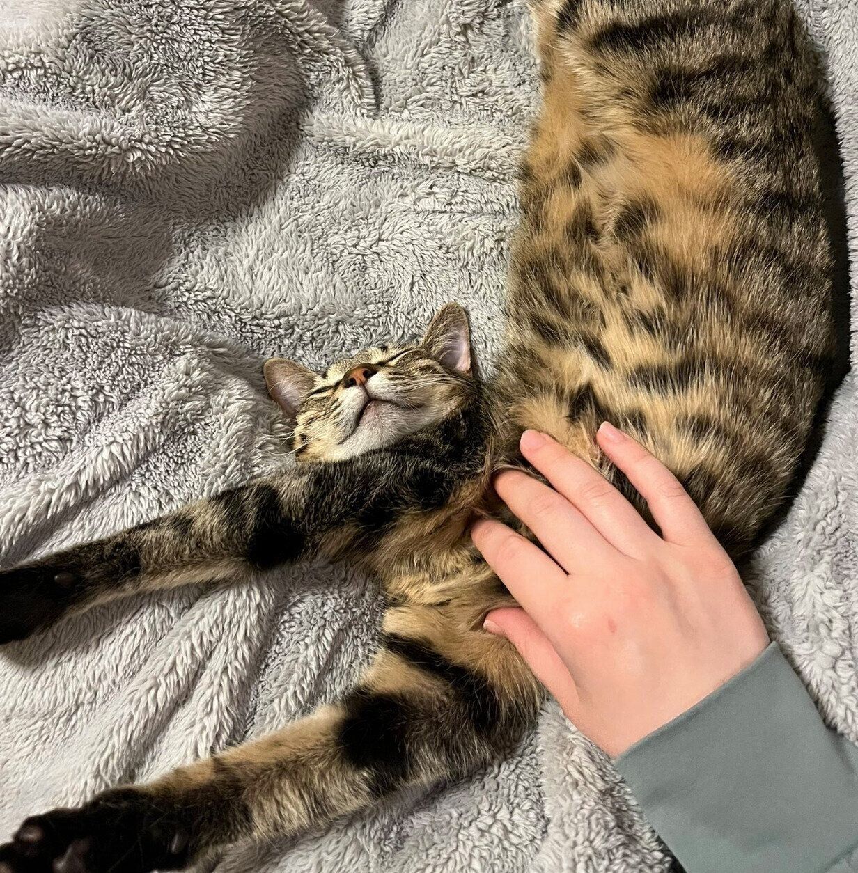 ナデナデを堪能するすずちゃん