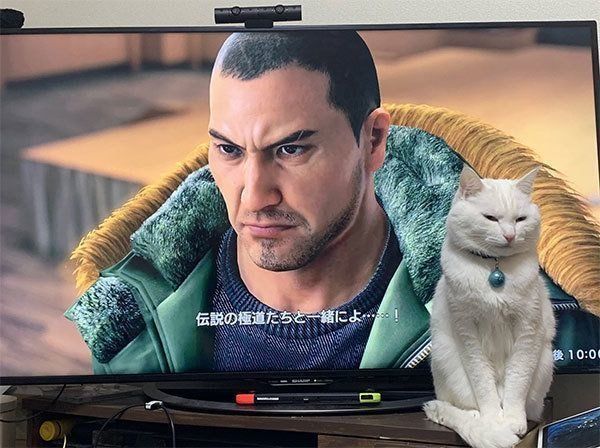 伝説の極道と並ぶハク様