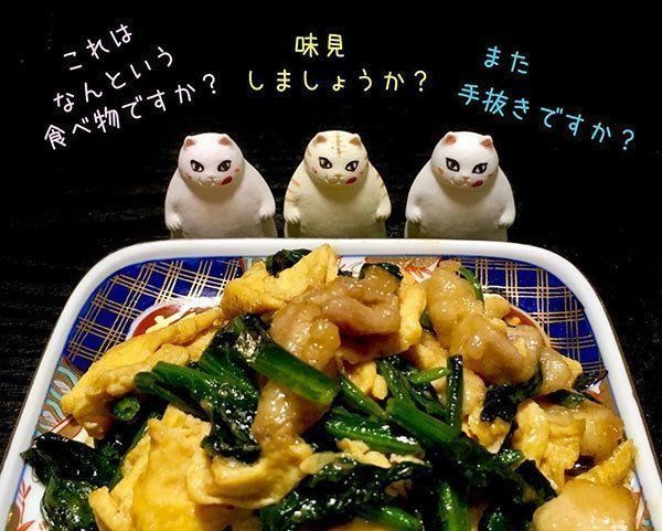 ボス猫軍団