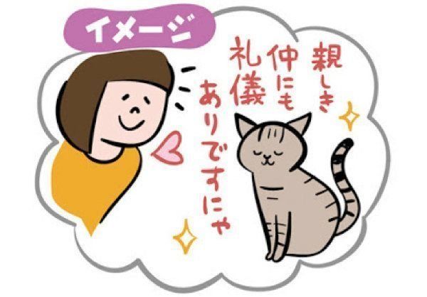 猫も「遠慮」するの?