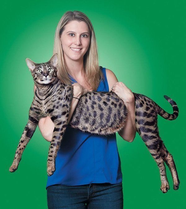ギネス認定された猫