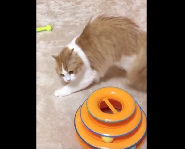 オラつくちのさん