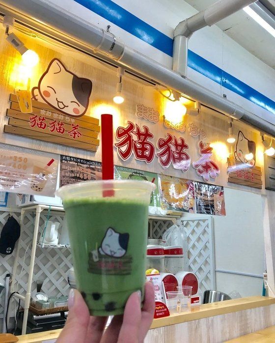 猫猫茶