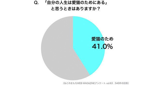 「自分の人生は愛猫のためにあると思うときがある」調査