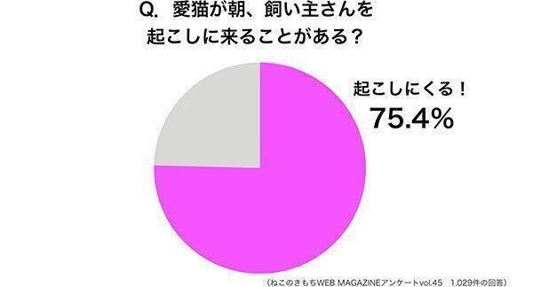 グラフ:朝、愛猫が起こしにくることがある?