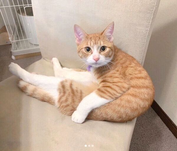座り方が可愛いみそちゃん