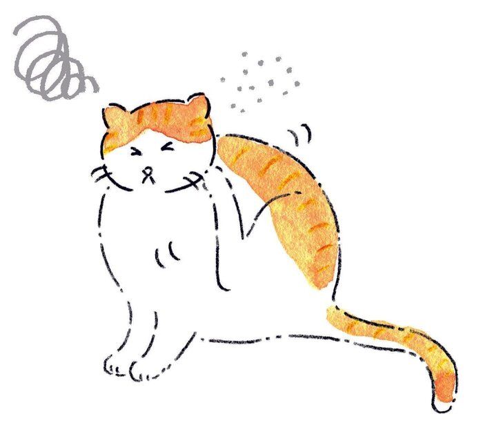 イラスト/みやしたゆみ