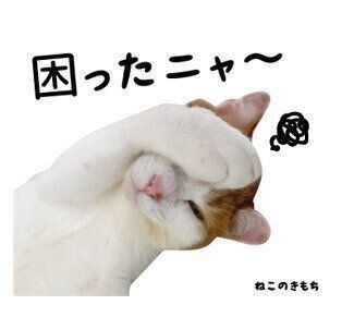 ゴヌちゃんのスタンプ